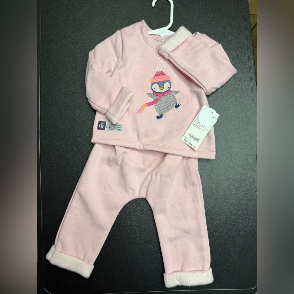NWT GAP Embroidered Pink Cozy Lined Two Piece Set Size 6-12 Months
